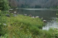 Plešné jezero 3
