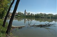 Bošilec